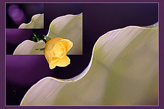 photo "Untitled photo"