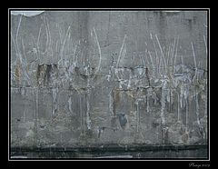 фото "...grafiti..."