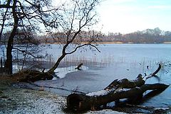 фото "Winterlandscabe."