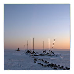 фото "без     названия"