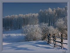 photo "Winter evening"