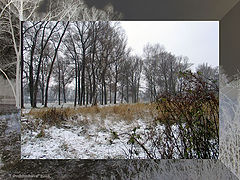 фото "Оттепель"