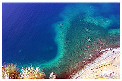 photo "Different Blues"