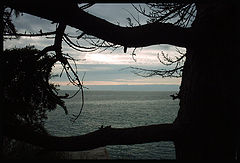 photo "Frame"
