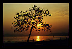 фото "A summer day..."