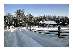 photo "Village in a wood"