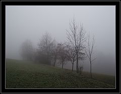 photo "The Fog"