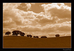 photo "Hot land"