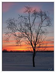 photo "On a dawn"