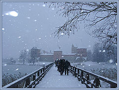 photo "So snow day..."