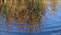 photo "Colour reflections!!"