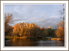 photo "Gilding"