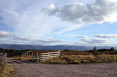 photo "Gate in the forgotten world."