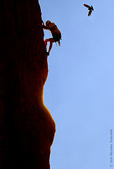 photo "Rock Clamber"