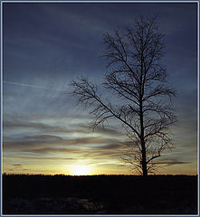photo "On a sunset"