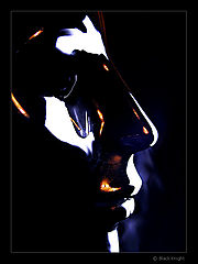 фото "Lost Tear"