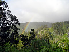 photo "Rainbow"