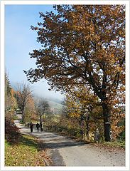 фото "Autumn Scene"
