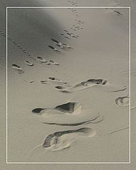 фото "crossing"