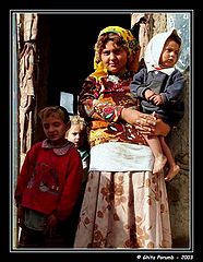 фото "Familie de tigani"