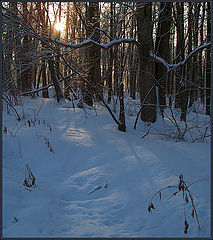 фото "Вечереет."
