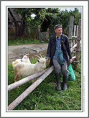 фото "Деревенский пастух"