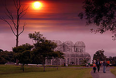 photo "A Sunday in the Botanical Garden"