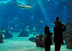 photo "Family trip"