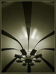 photo "* * *"