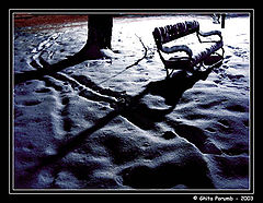 фото "Banca in parc"