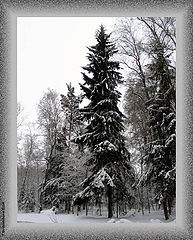photo "Winter dream"