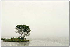 фото "Temptation"