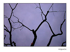 photo "the dark at the end of a delightful day"