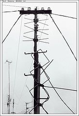 photo "To find a signal. To be alone."