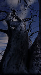photo "The Blair Witch"