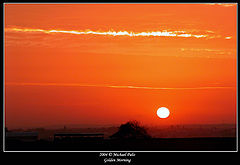 photo "Golden Morning"