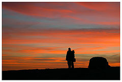 photo "Love is in the air"
