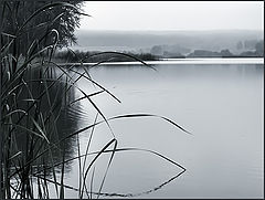 фото "Унылая пора."