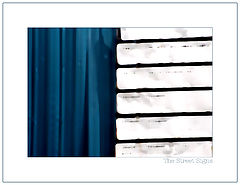 фото "the street signs"