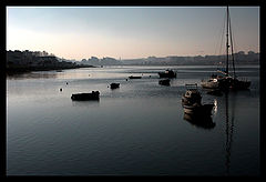 фото "in the morning"