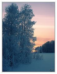 photo "Weather forecast for tomorrow"