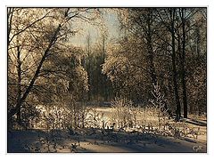 photo "Once in the winter evening"