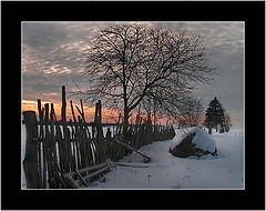 photo "Winter sunset"