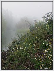 photo "Fog"