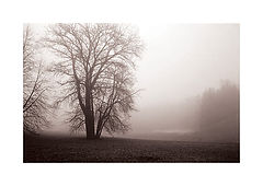 photo "Early Morning"