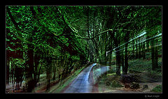 фото "Paths of Destiny"