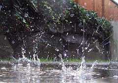 photo "let it rain"