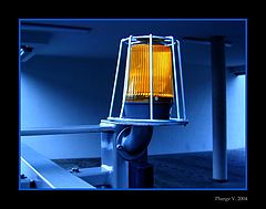 фото "...yellow in blue..."