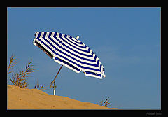 photo "Remember the Summer"