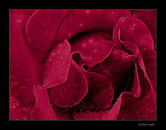 photo "4U & U2"